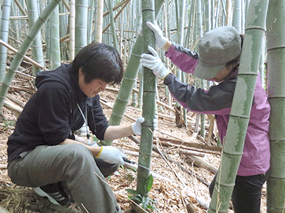 工場見学